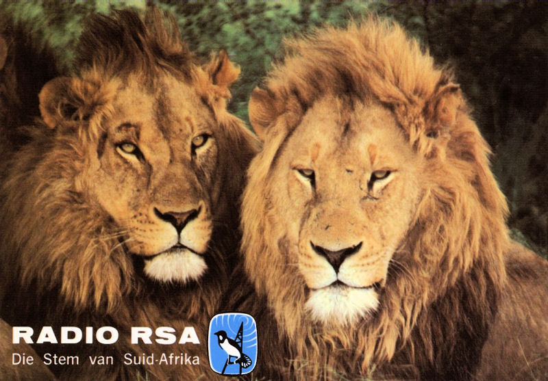 QSL3