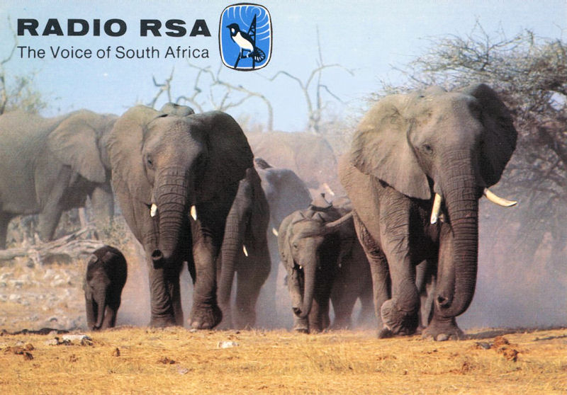 QSL4